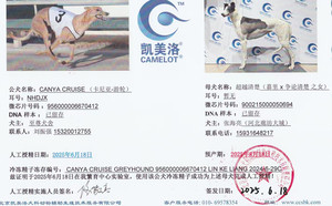 卡尼亚游轮X超越清楚 900215000050694.jpg