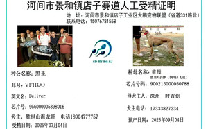 黑王X黄母 900215000050788，CY476.jpg