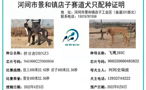 捍卫者X飞鹰 J65C，900250000483822.jpg