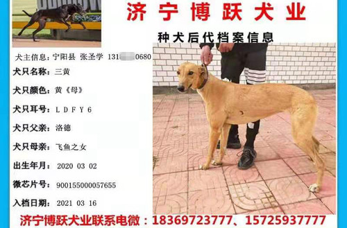 三黄 900155000057655，LDFY6