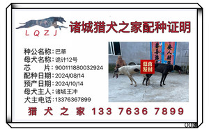 巴蒂X诡计12号 900111880032924，NGXH613BA.jpg