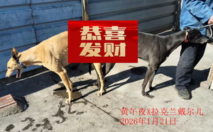 微信图片_20260121150816_20_488.jpg