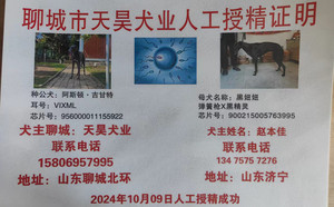 阿斯顿吉甘特X黑妞妞 900215005763995，J811C.jpg