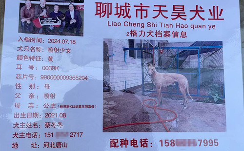 喷射少女 990000009365294