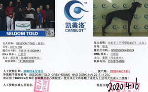 嘉里X小妃子900250000480024，GAOD.jpg