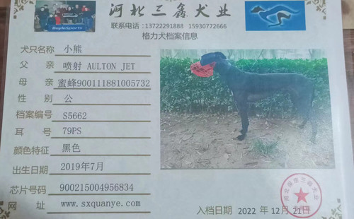 小熊 900215004956834，79PS