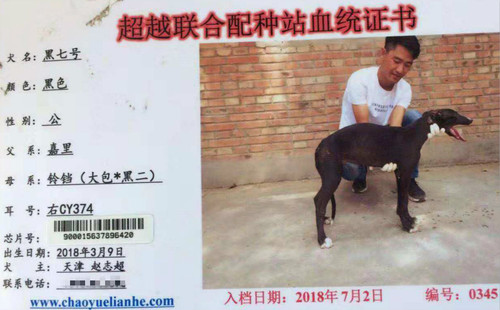 黑七号 CY374，900015637896420