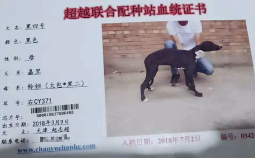 黑四号 CY371，900015637896408