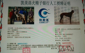 吉格帕夫X诺里公主 900115000929277.jpg