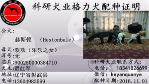 赫斯顿X900250000384710.jpg