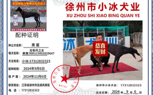 黑蛋X黄鹰 900115002829647，NGXH1116A23.jpg
