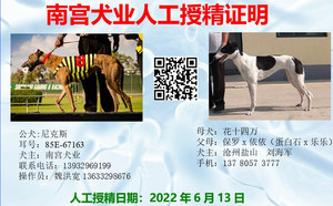 尼克斯X花母 988000001880090.jpg