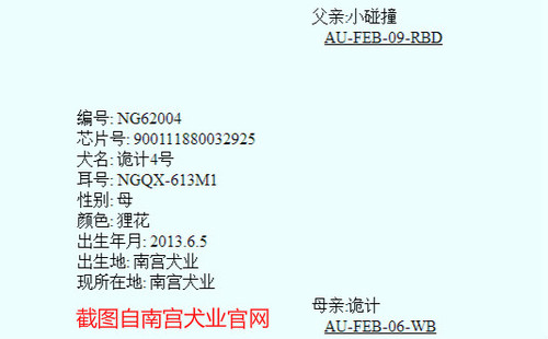 诡计4号 900111880032925，NGQX613M1