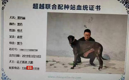 黑玛丽 156111110098706