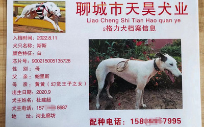 斯斯 900215005135728