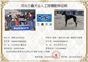 喷射X黑妹 DBHJ7，900201709640125.jpg