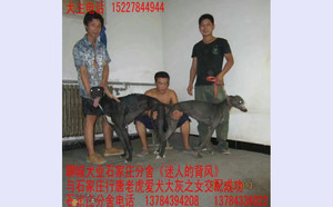 迷人的背风X小灰NG09 106A.jpg