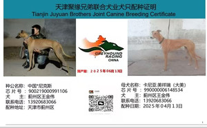 中国·尼克斯X卡尼亚·美祥瑞990000006148534.jpg