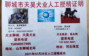 踏雪隆隆声X黑玫瑰 NGQX 514C，900111880207598.jpg