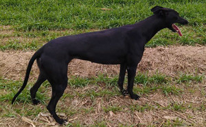 赶浪少女 DBZL5，515000187032476.jpg