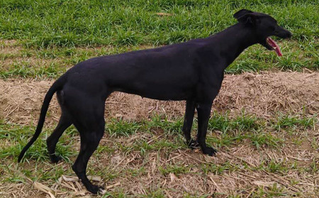 赶浪少女 DBZL5，515000187032476