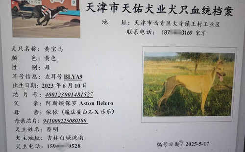 黄宝马 400123001481527