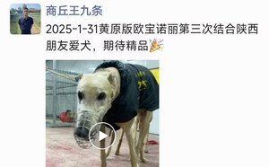 欧宝诺丽X黄蓉 400123001481498.jpg