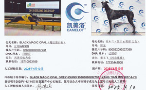 魔法蛋白石X花木兰 900022092027389.jpg