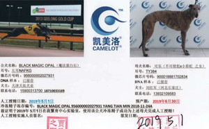 魔法蛋白石X可乐 TY384，900018881702834，彩虹公主.jpg