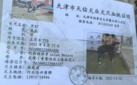 黑钻 941000225081456，TYB