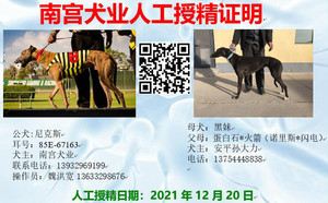 尼克斯X黑妹 DBHJ7，900201709640125.jpg