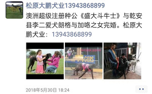 斗牛士X梨花片 YY8591.jpg