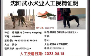 哈利保持X黑莫诺 992007001059796.jpg