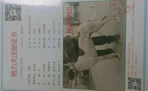 贡嘎 900115001743367，NGXH820M2