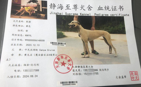 航母 990000006148008
