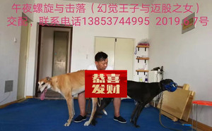 午夜螺旋X击落 HJMG 411A，900128001208821.jpg