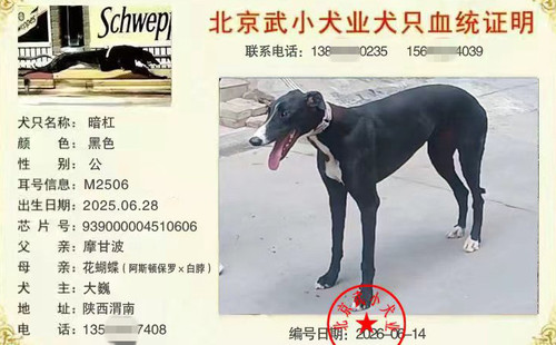 暗杠 939000004510606