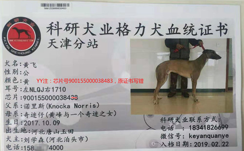 黄飞 900155000038483，NLQJ1710