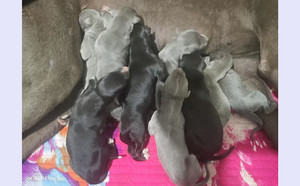 哈瓦那X灿烂的公主 900215009728087.jpg