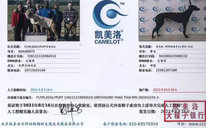 吉格帕夫X黑乌鸦 BLCH2，941000225080132.jpg