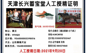 黑王X白尾巴 515000187032467，900111881606897，HJWCMFXB.jpg