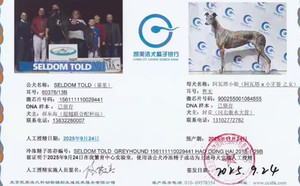 嘉里X阿瓦塔小姐 900255001084655.jpg