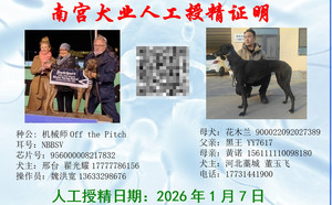 机械师X花木兰 900022092027389.jpg