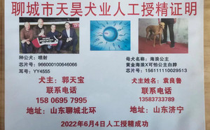 喷射X海浪公主 156111110029513.jpg