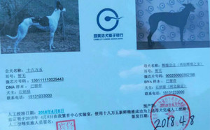 十八万五X辉煌公主 900250000352198.jpg