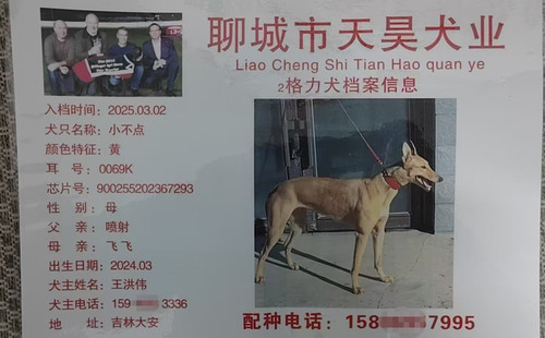 小不点 900255202367293
