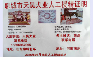闪烁的柳树X黑蝴蝶 900168021066285.jpg