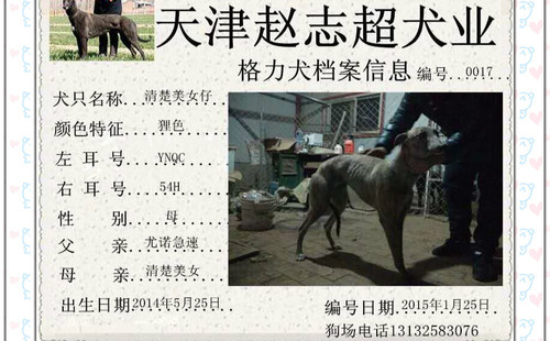 清楚美女仔 YNQC 54H