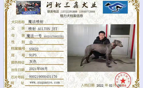 魔法喷射 900219000431176，91PS