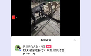 小辣椒X四大名著 DBZL6，941000225080629.jpg